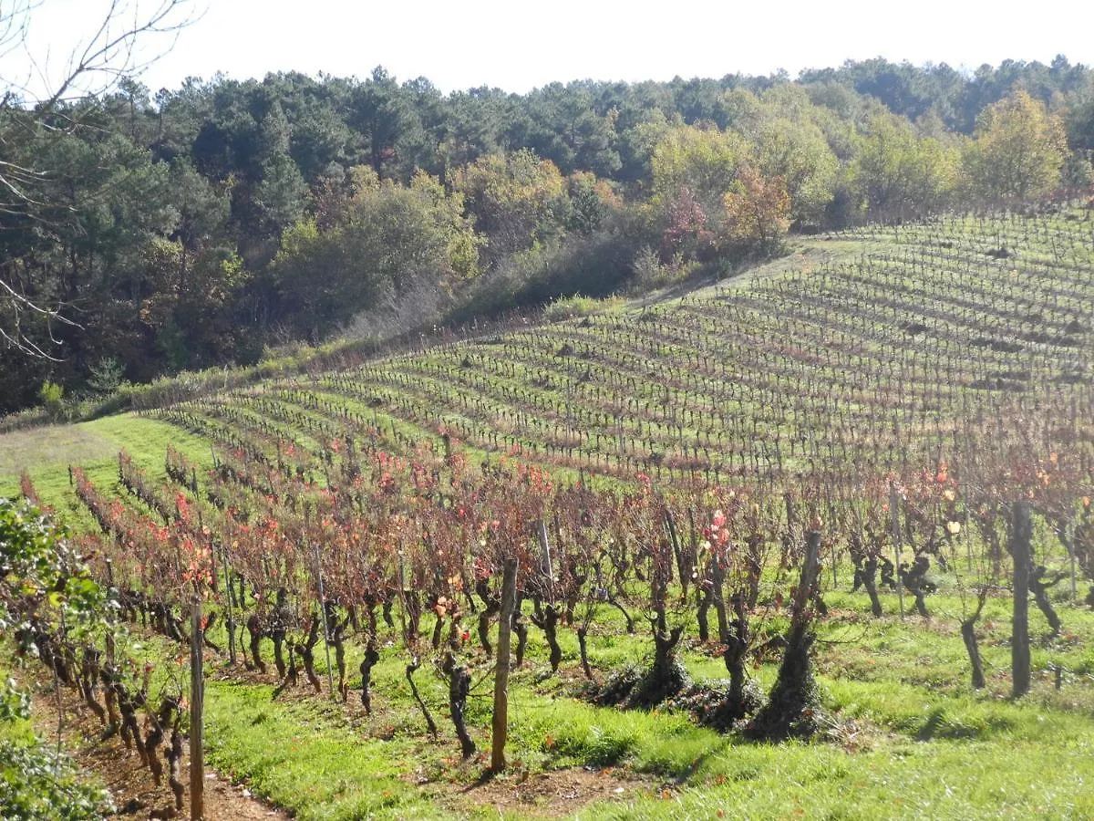 Vila Moulin De Lalande Belaye 0*,